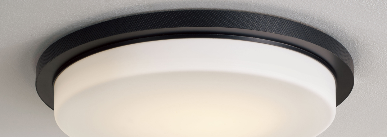 Header image for Dominic