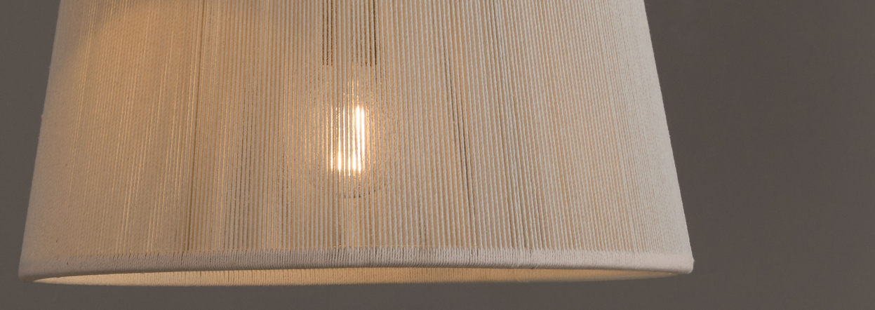 Header image for Tara