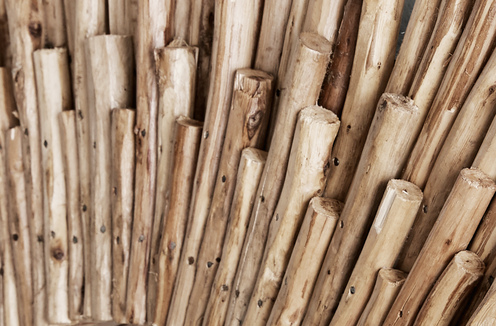 Photo of Natural Eucalyptus